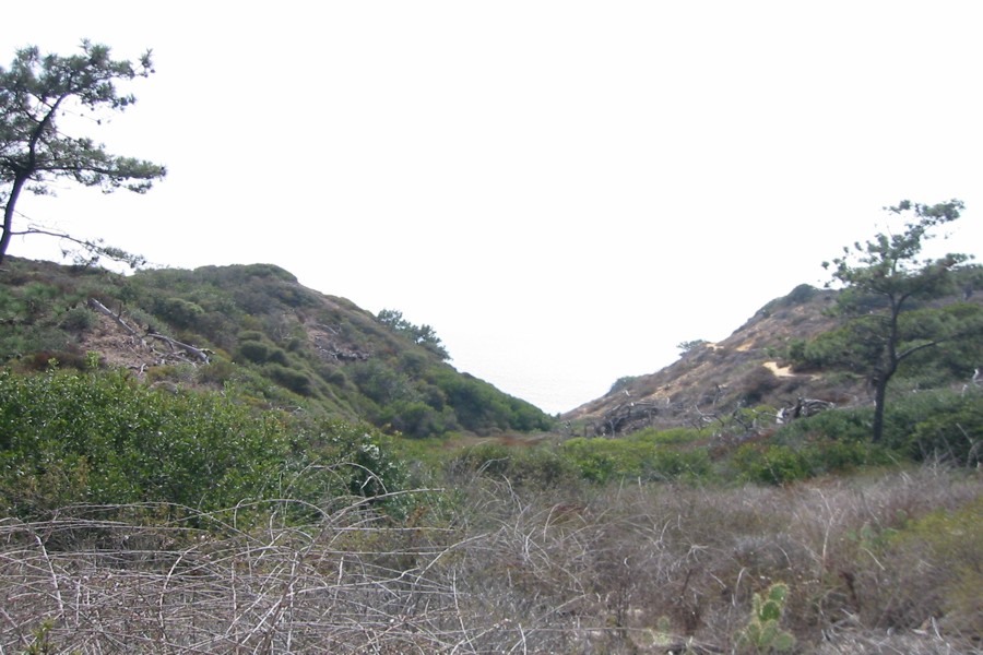 ../image/torrey pines state reserve.jpg